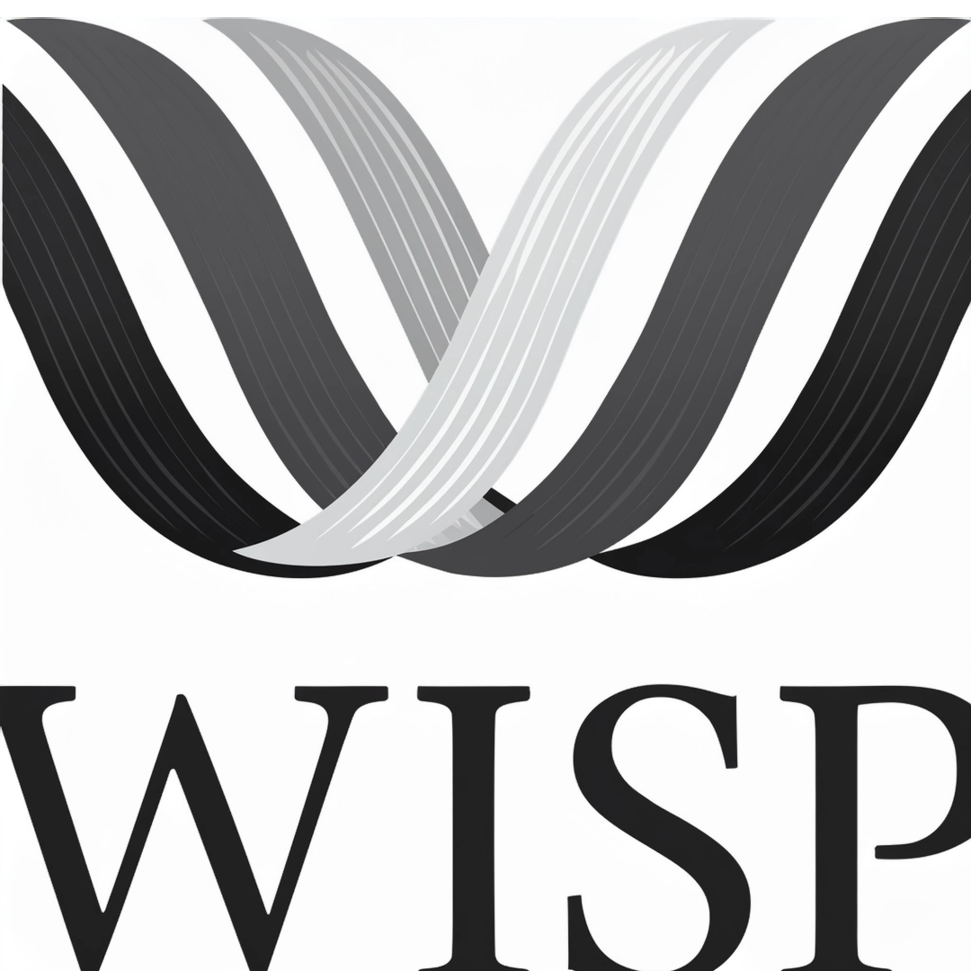 Load video: How to Tips for the Wisp Broom